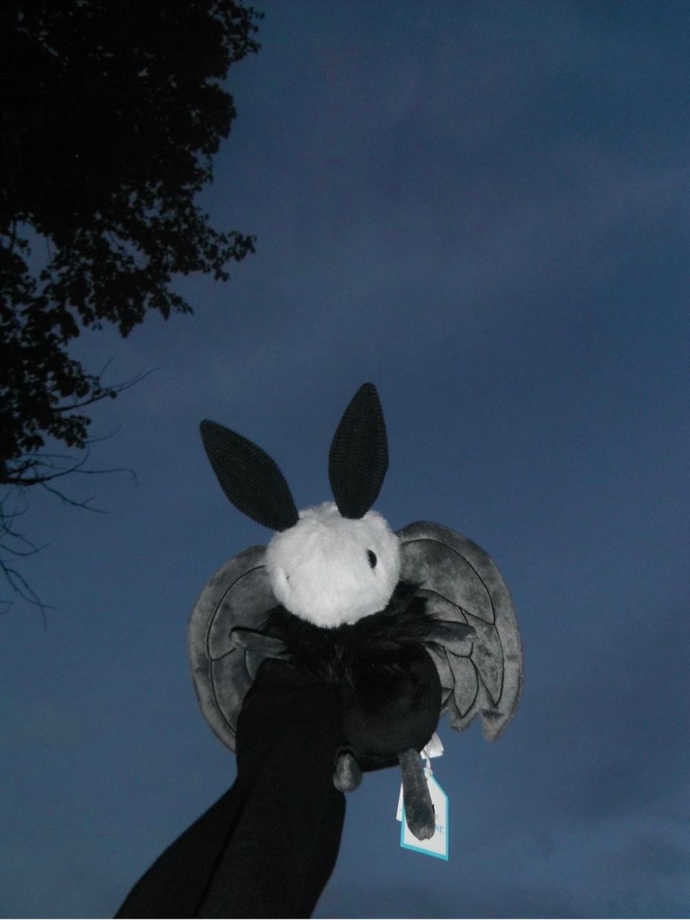 Jellycat Miff Mothman BNWT